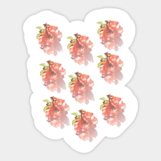 Flowering Quince Transparent Sticker